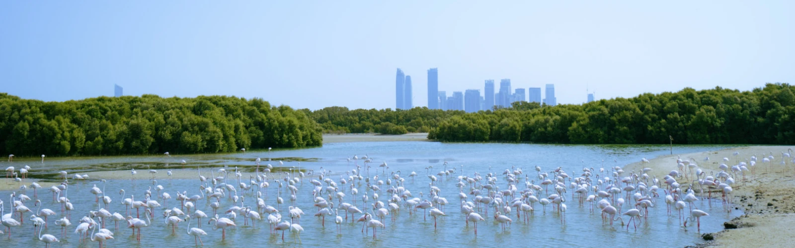 Top 10 Outdoor Family Activities in Dubai