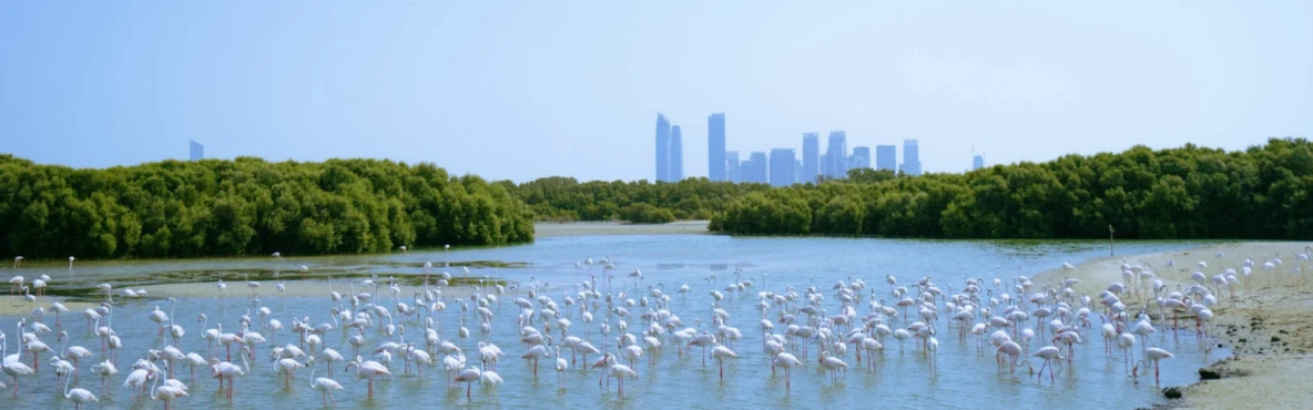 Top 10 Outdoor Family Activities in Dubai