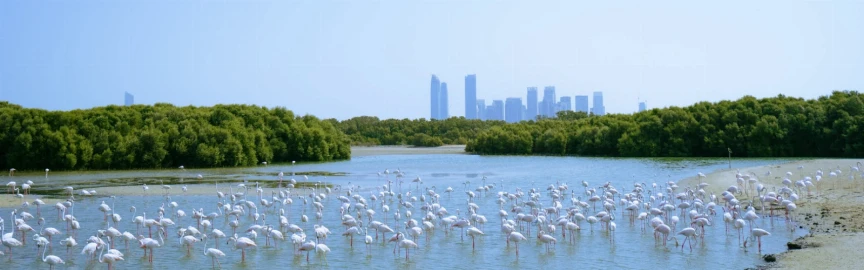 Top 10 Outdoor Family Activities in Dubai