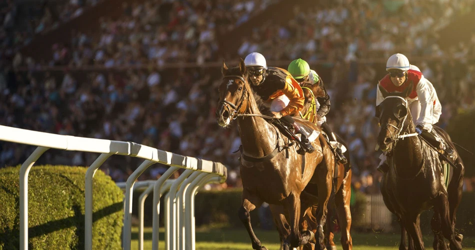 The Best 10 Local Events and Festivals in Dubai