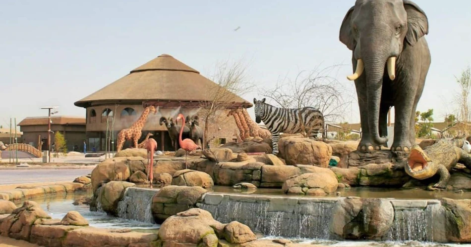 Top 10 Outdoor Family Activities in Dubai