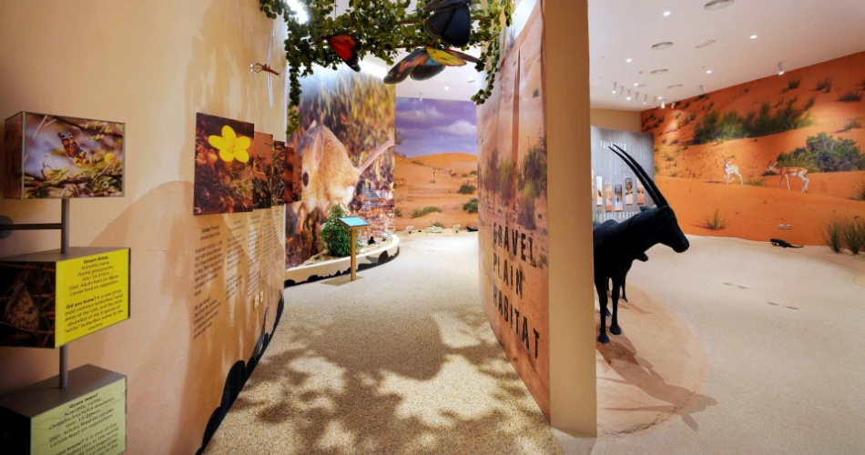 Top 10 Outdoor Family Activities in Dubai