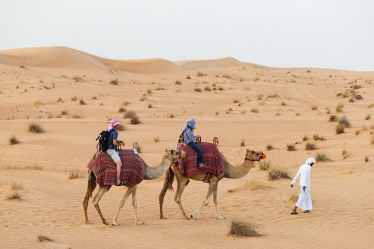 Tour image 2