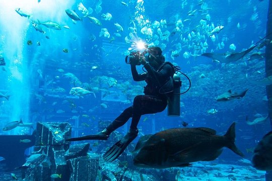 Tour image 7