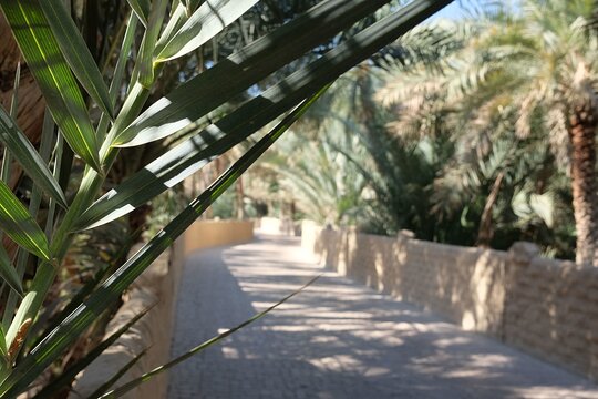 Tour image 8