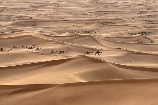 Tour image 5